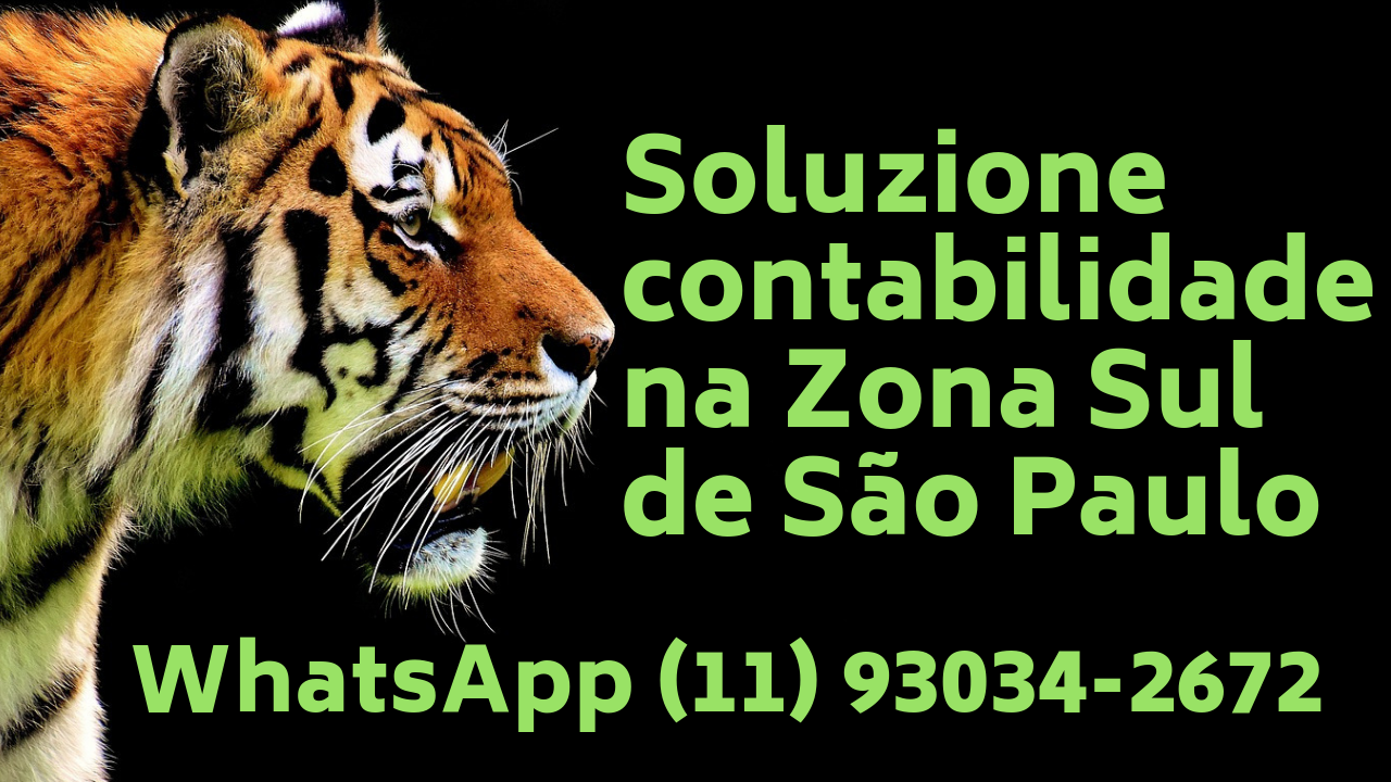 Contabilidade para Salão de Beleza - Soluzione Contábil